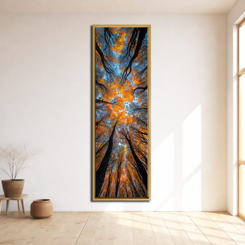 Autumn Forest Canopy from Below canvas wall art, natural wood floating frame