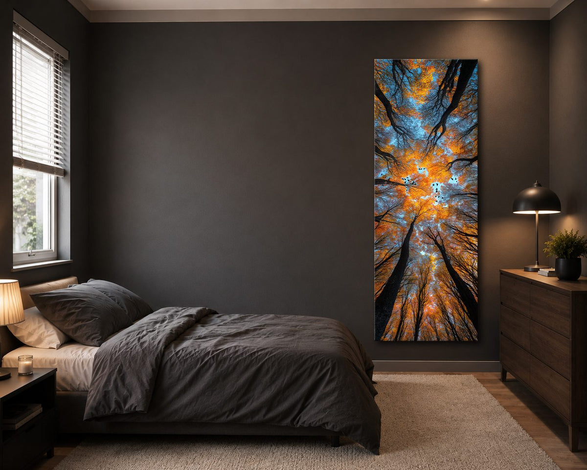 Autumn Forest Canopy from Below canvas wall art, unframed canvas